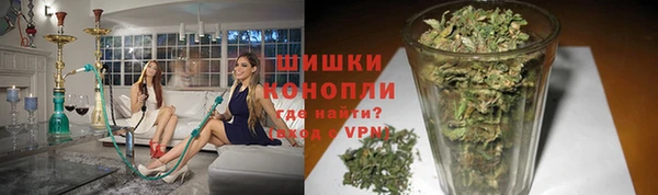МДПВ Лагань