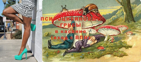 мдпв Лабытнанги