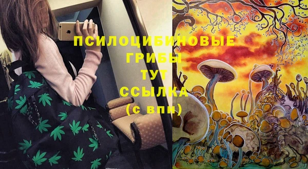 spice Лихославль