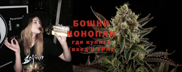 МДПВ Лагань