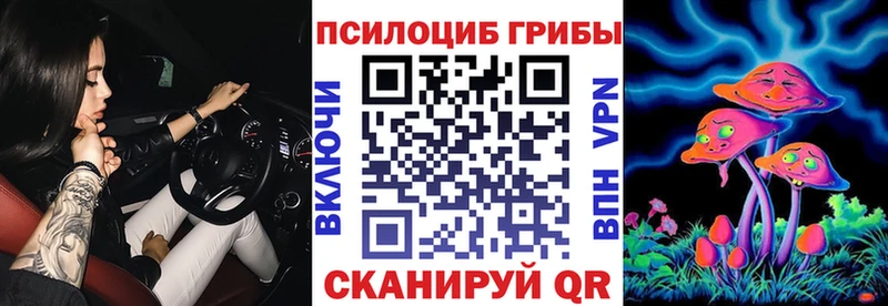 Псилоцибиновые грибы Cubensis  где продают наркотики  Дмитров 