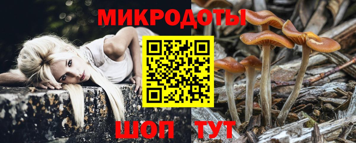 Галлюциногенные грибы ЛСД Дмитров