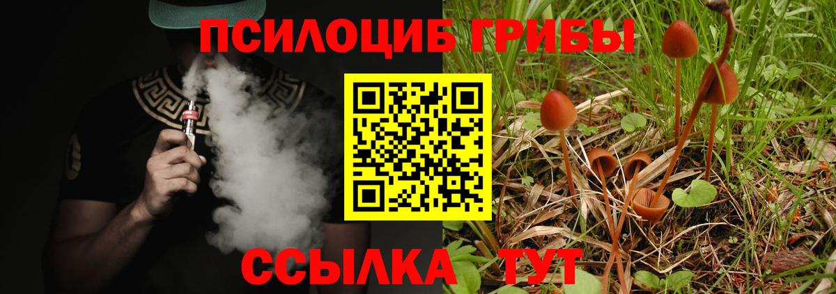 где можно купить   Псилоцибиновые грибы Psilocybine cubensis  Вход с VPN  Дмитров 